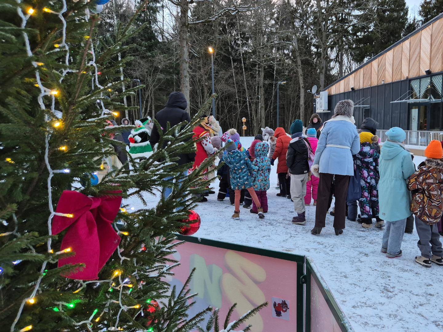 Фото: Анастасия Игнатова 