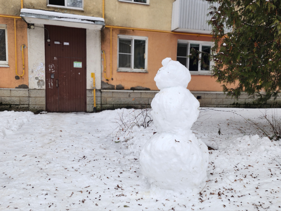 Фото: МедиаБанк Подмосковья/Валентина Максимова