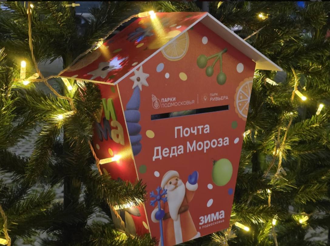 Фото: МедиаБанк Подмосковья/Яна Шаливская