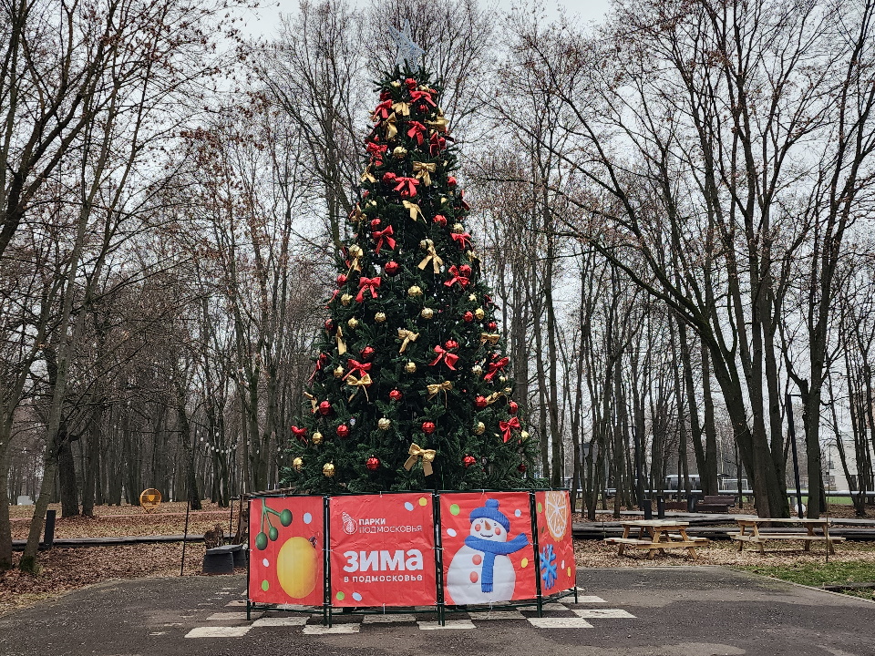 Фото: МедиаБанк Подмосковья/Валерия Тингаева