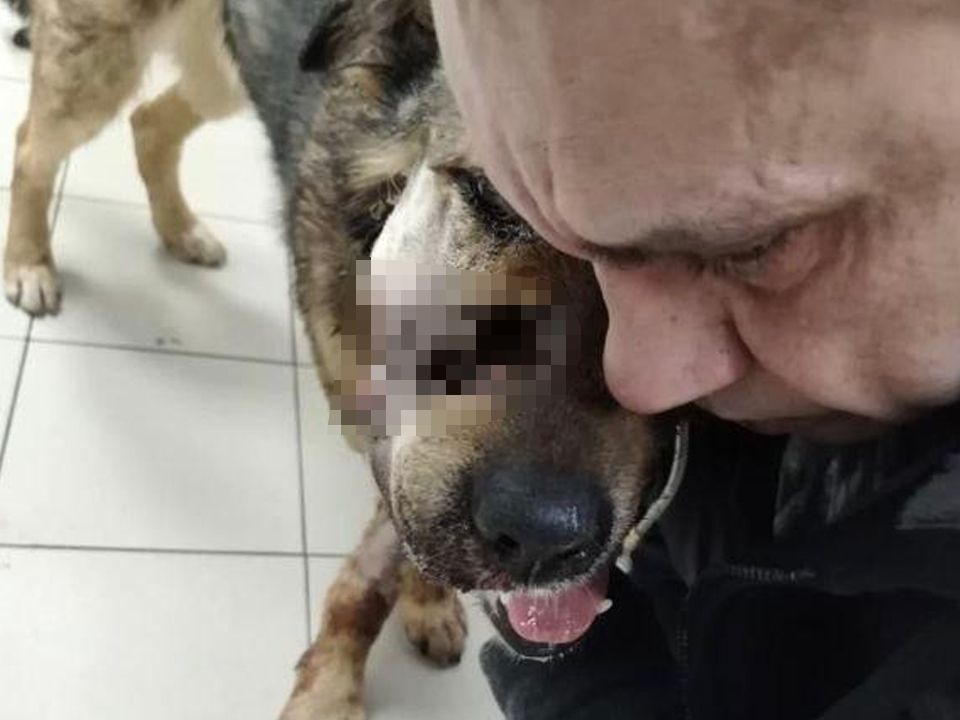 Фото: предоставлено пострадавшим