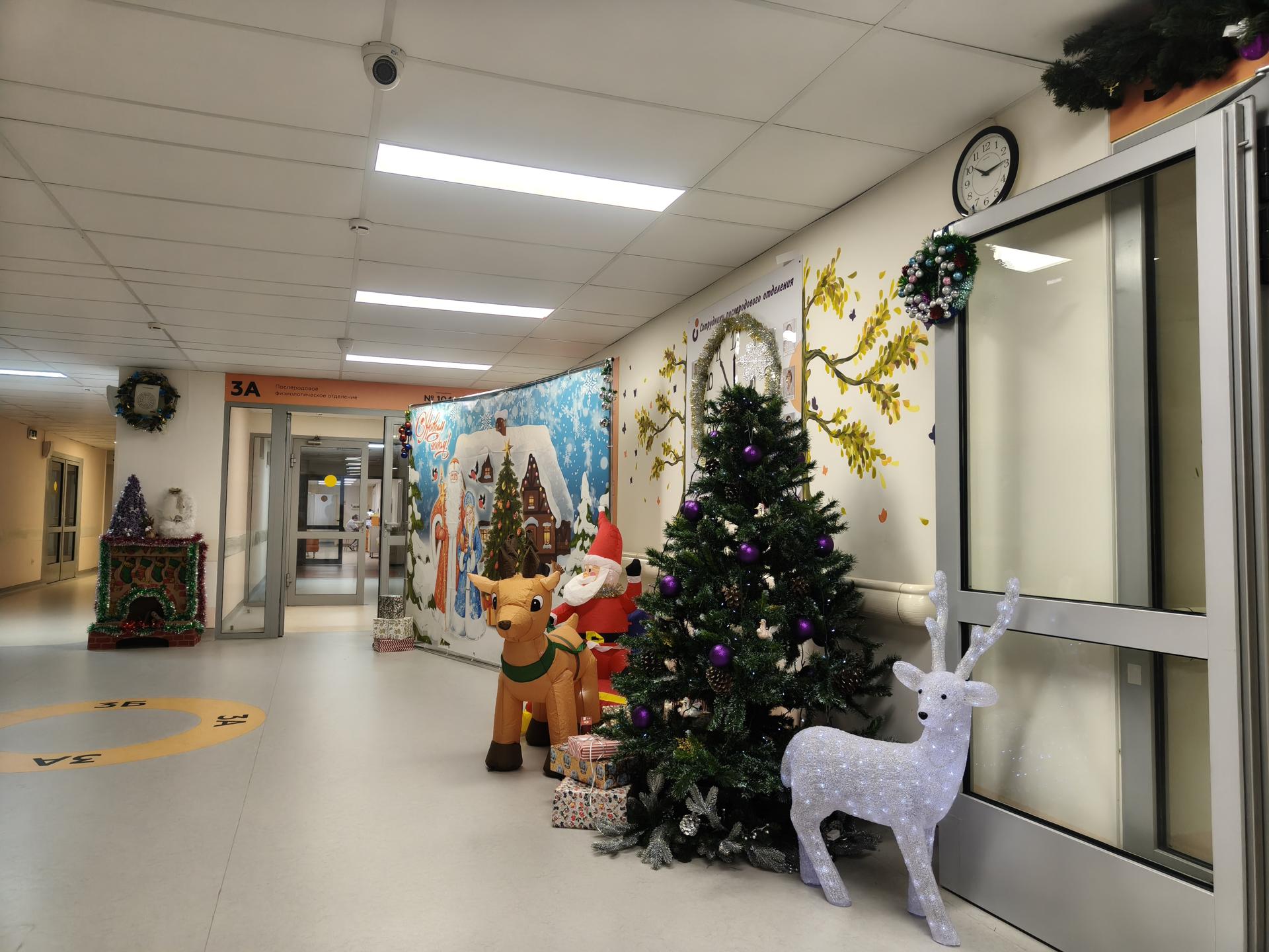 Фото: Сергей Орлов 