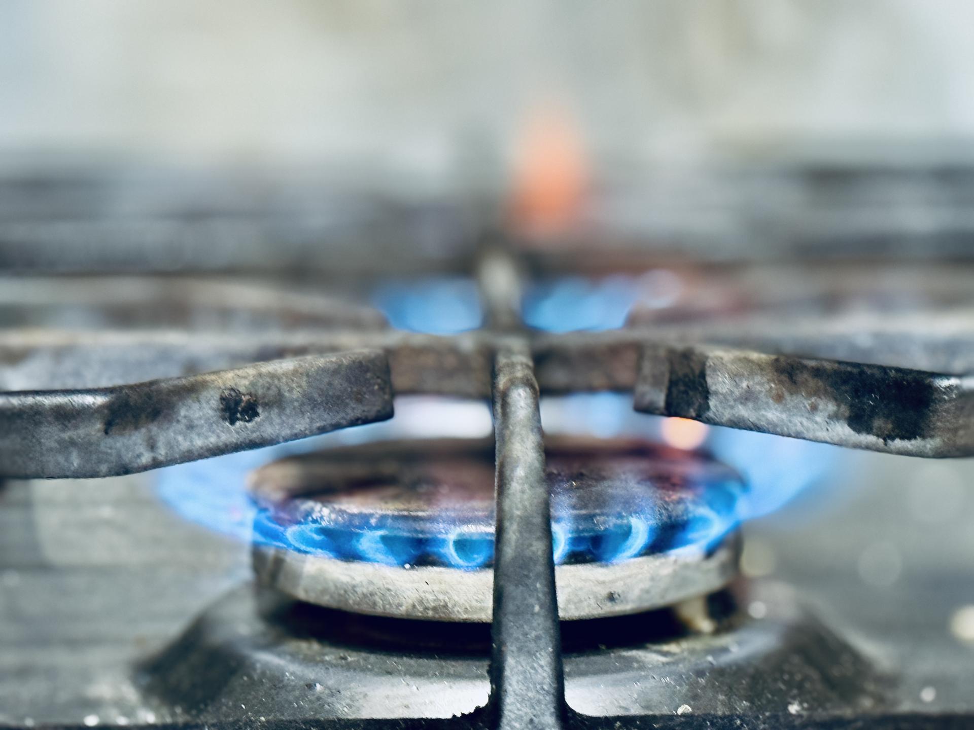 Фото: МедиаБанк Подмосковья/Ольга Стаферова