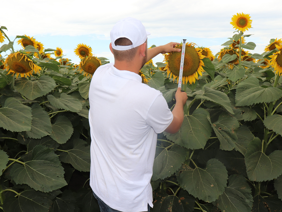 Фото: Компания «Щелково Агрохим»