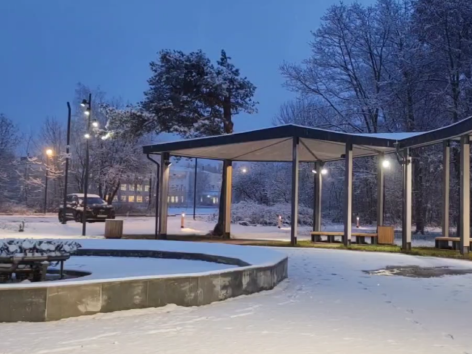 Фото: пресс-служба администрации г. о. Черноголовка