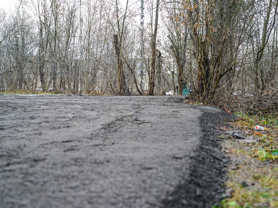 Фото: МедиаБанк Подмосковья/Иван Чижов