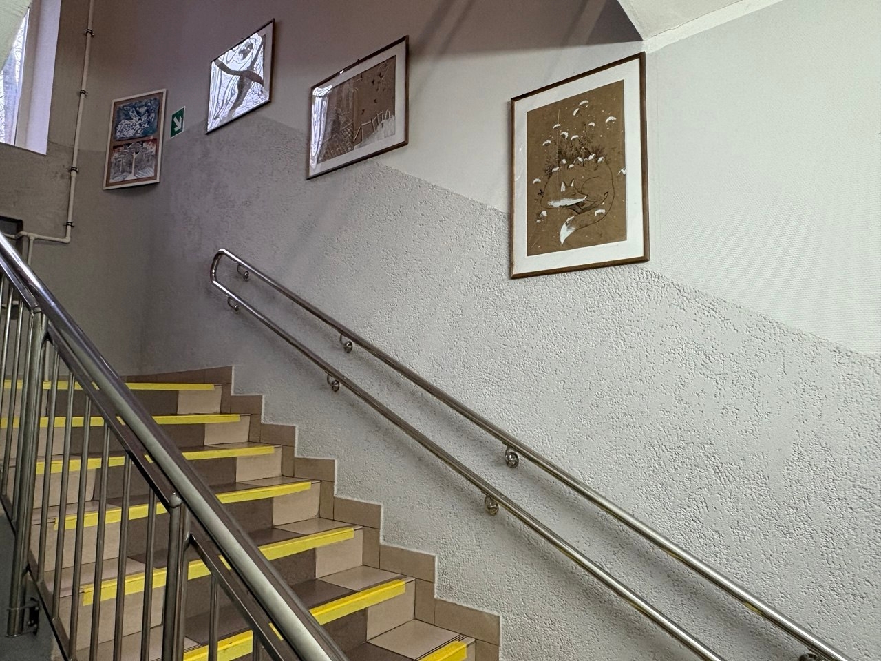 Фото: пресс-служба администрации Наро-Фоминского г.о.  