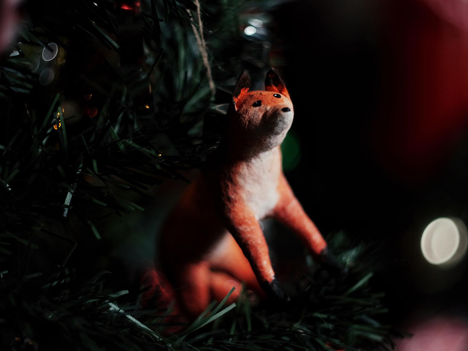 Фото: МедиаБанк Подмосковья/Кристина Тришина