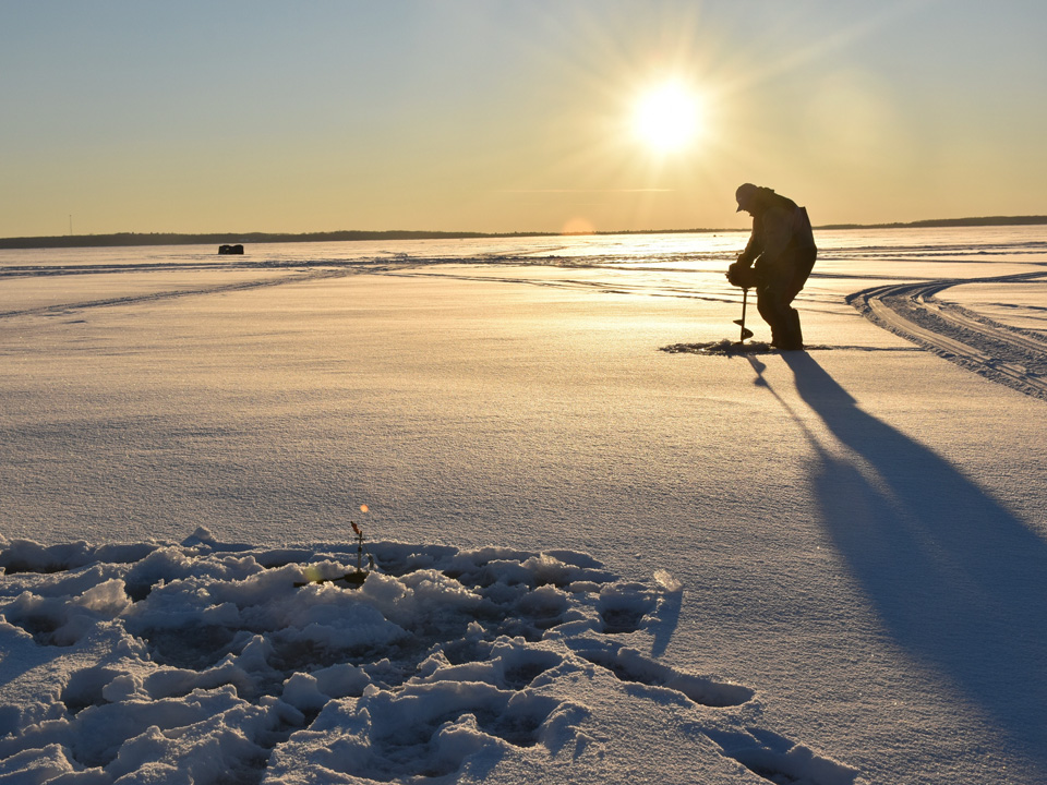 Фото: istockphoto.com/gnatoutdoors 