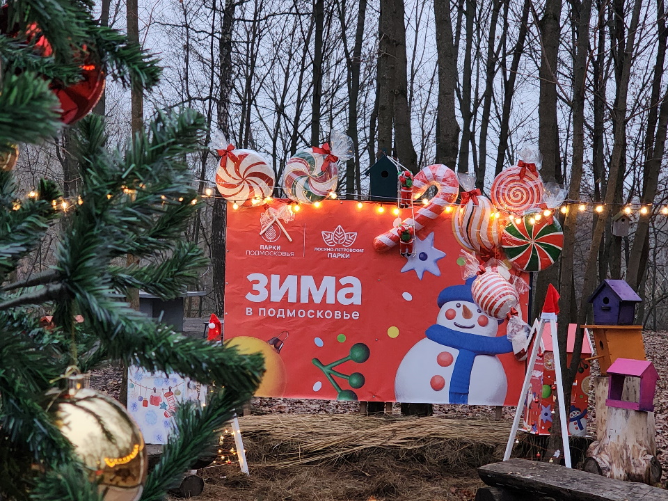 Фото: МедиаБанк Подмосковья/Валерия Тингаева