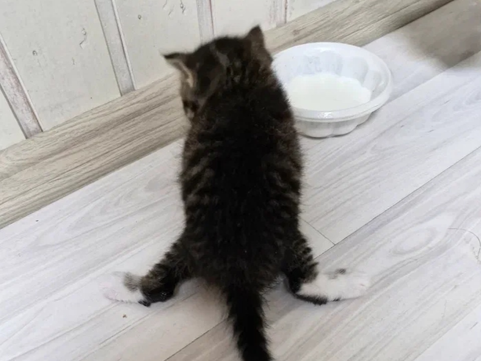 Фото: REGIONS/Наталия Надточая