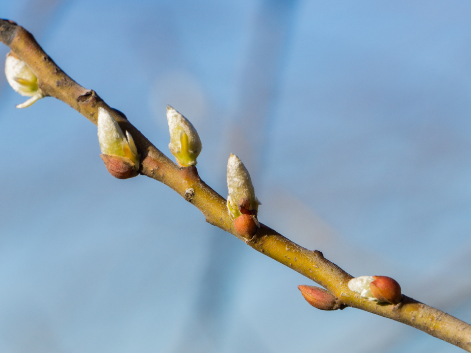 Фото: istockphoto.com/Sundry Photography