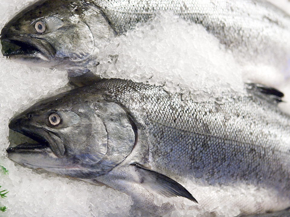 Фото: istockphoto.com/MarkHatfield