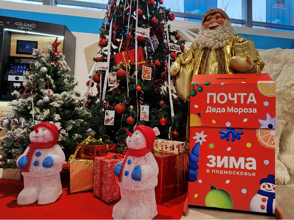 Фото: МедиаБанк Подмосковья/Максим Сафронов