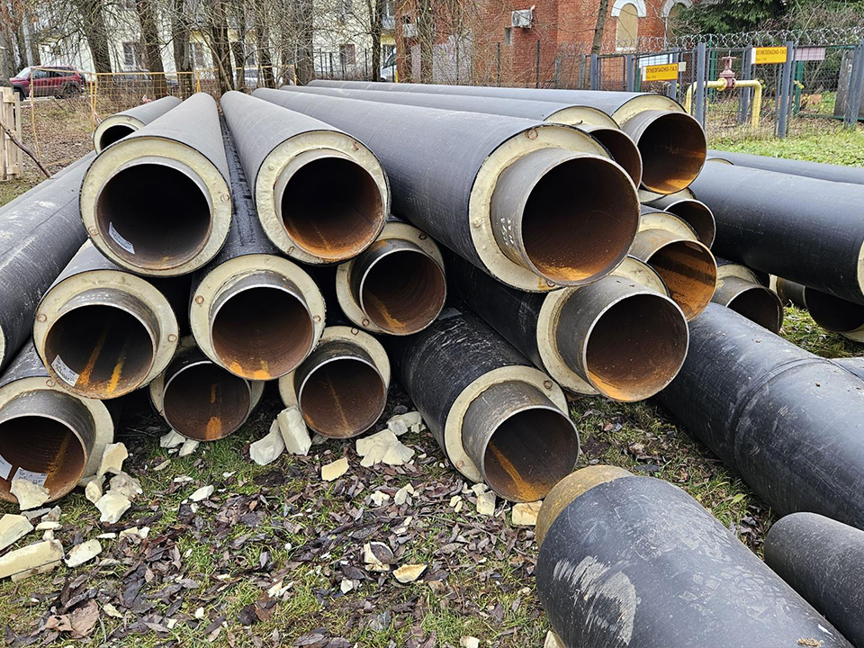 Фото: МедиаБанк Подмосковья/Вероника Горбачева