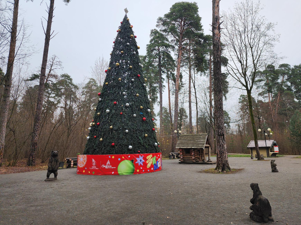 Фото: REGIONS/Кристина Ларина