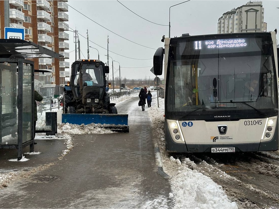 Фото: МедиаБанк Подмосковья/Эдуард Стратонов 
