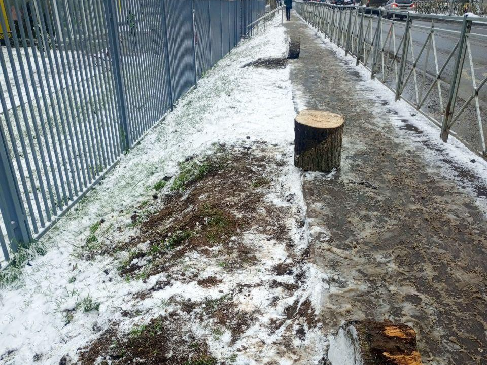 Фото: пресс-служба администрации Наро-Фоминского г.о.  