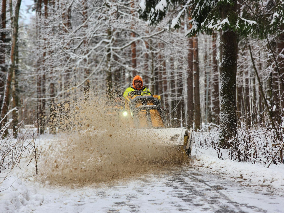 Фото: Иван Петрушин