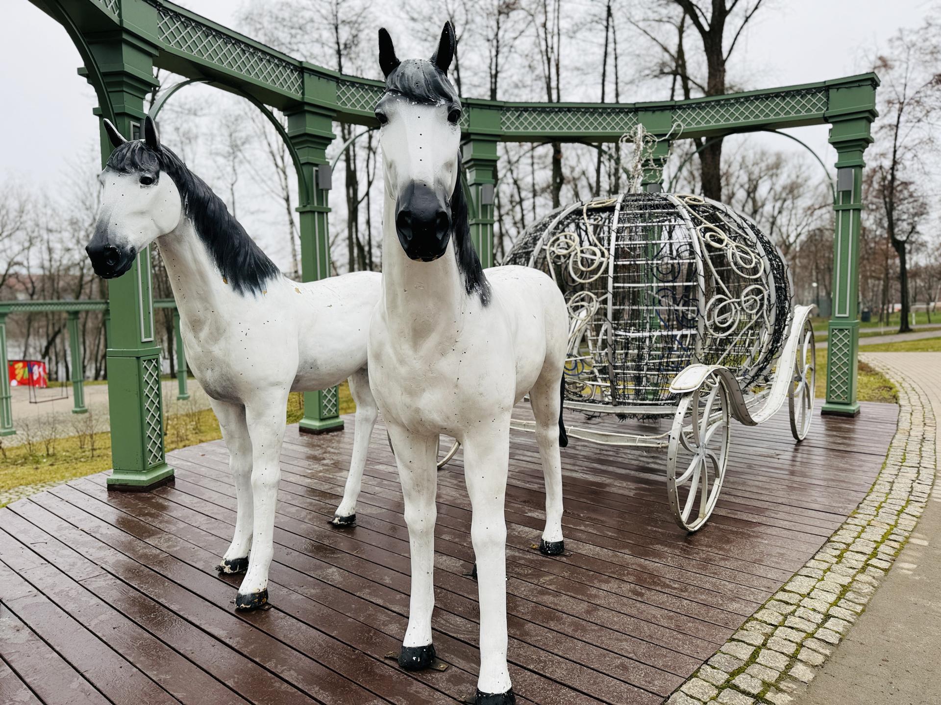 Фото: МедиаБанк Подмосковья/Ольга Стаферова