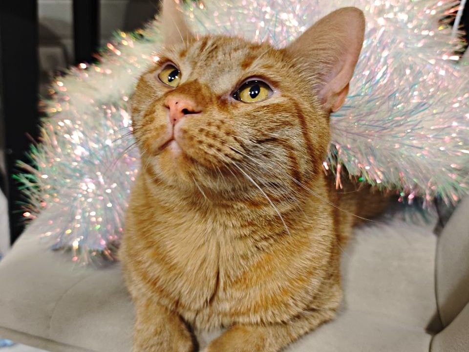 Фото: Максим Зубарев