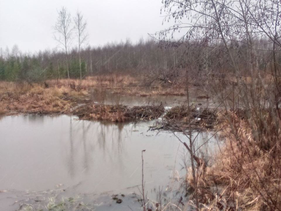 Фото: Дмитрий Сорокин