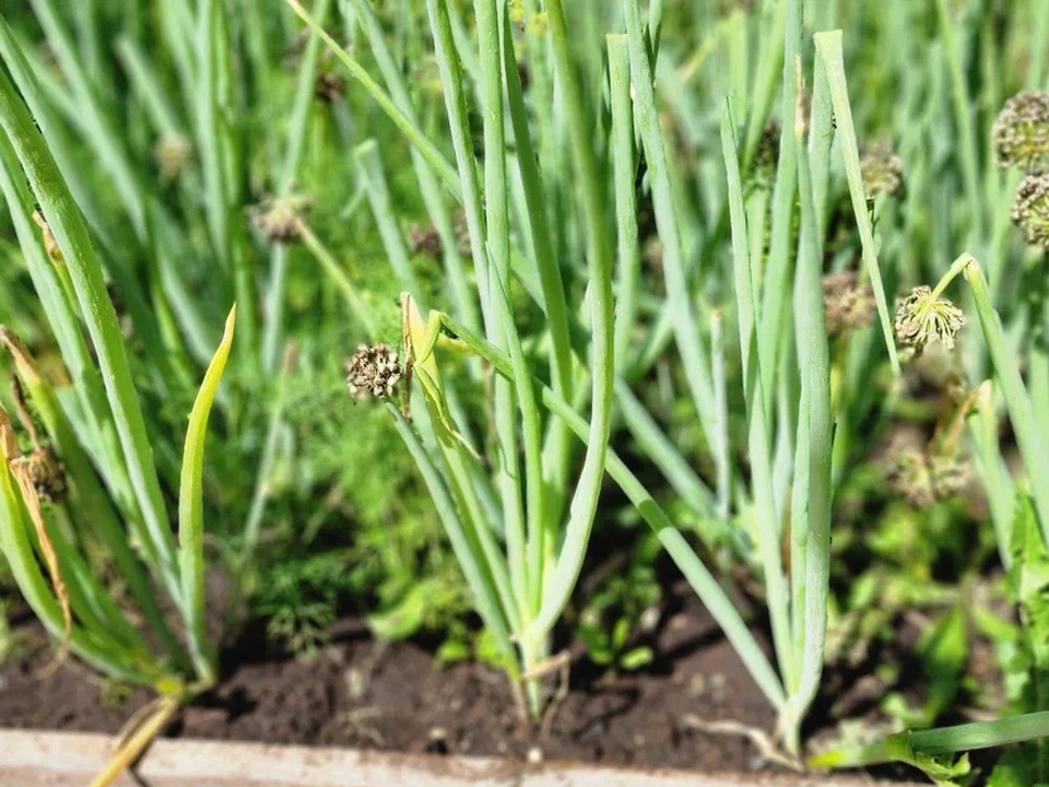 Фото: REGIONS/Наталия Надточая