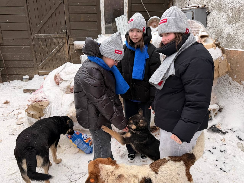 Фото: Движение Первых, м.о. Серебряные Пруды