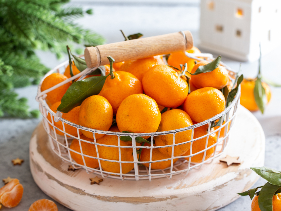 Фото: istockphoto.com/Ann_Zhuravleva