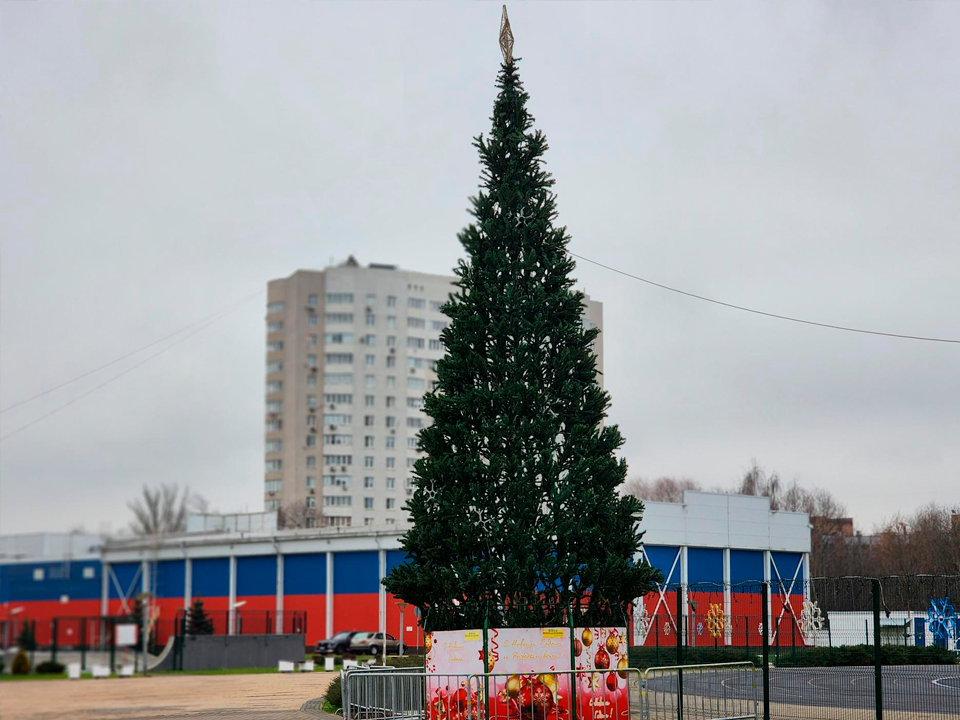 Фото: МедиаБанк Подмосковья/Роман Савельев