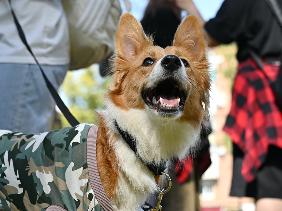 Фото: Сергей Демянюк