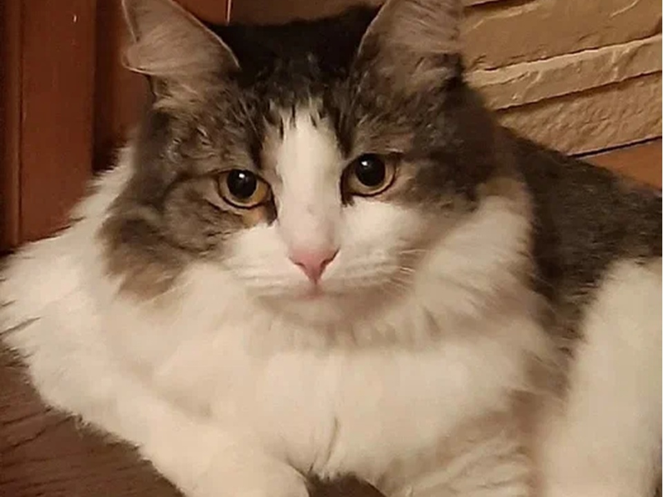 Фото: REGIONS/Наталия Надточая