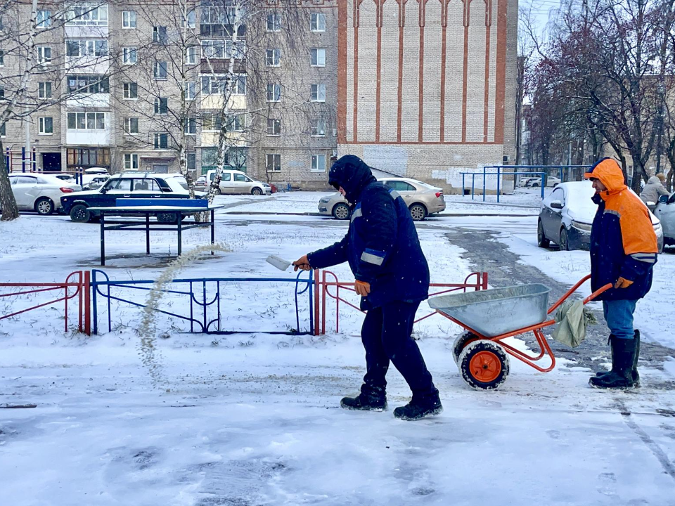 Фото: REGIONS/Дарья Леонова
