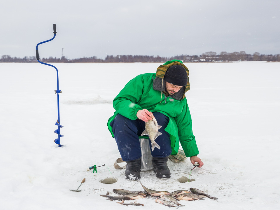 Фото: istockphoto.com/Sergey Kuznetsov 