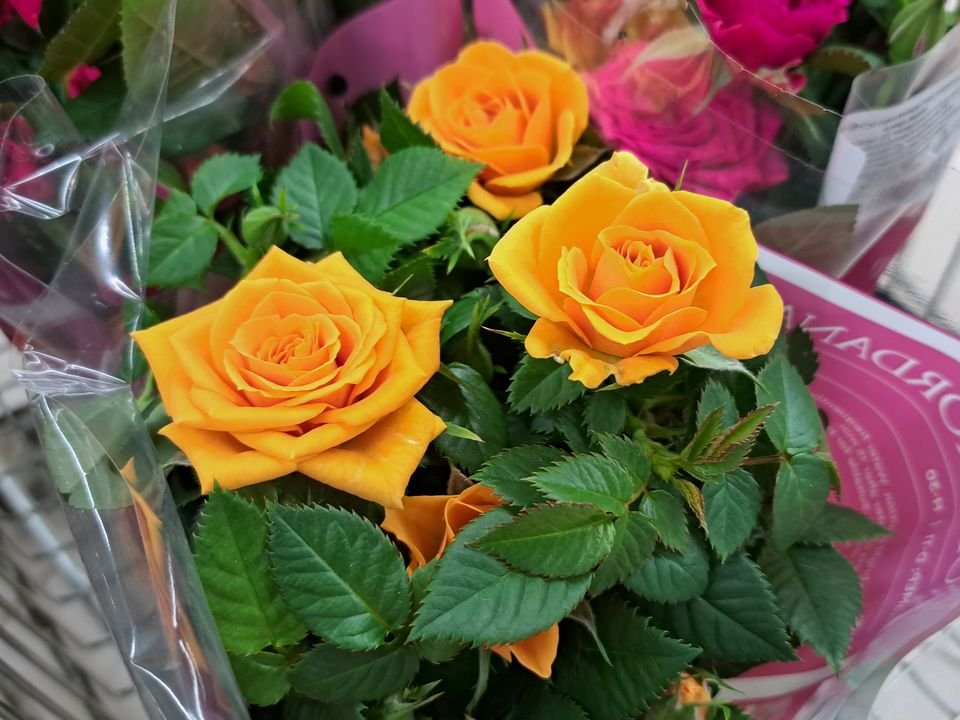 Фото: REGIONS/Татьяна Замятина