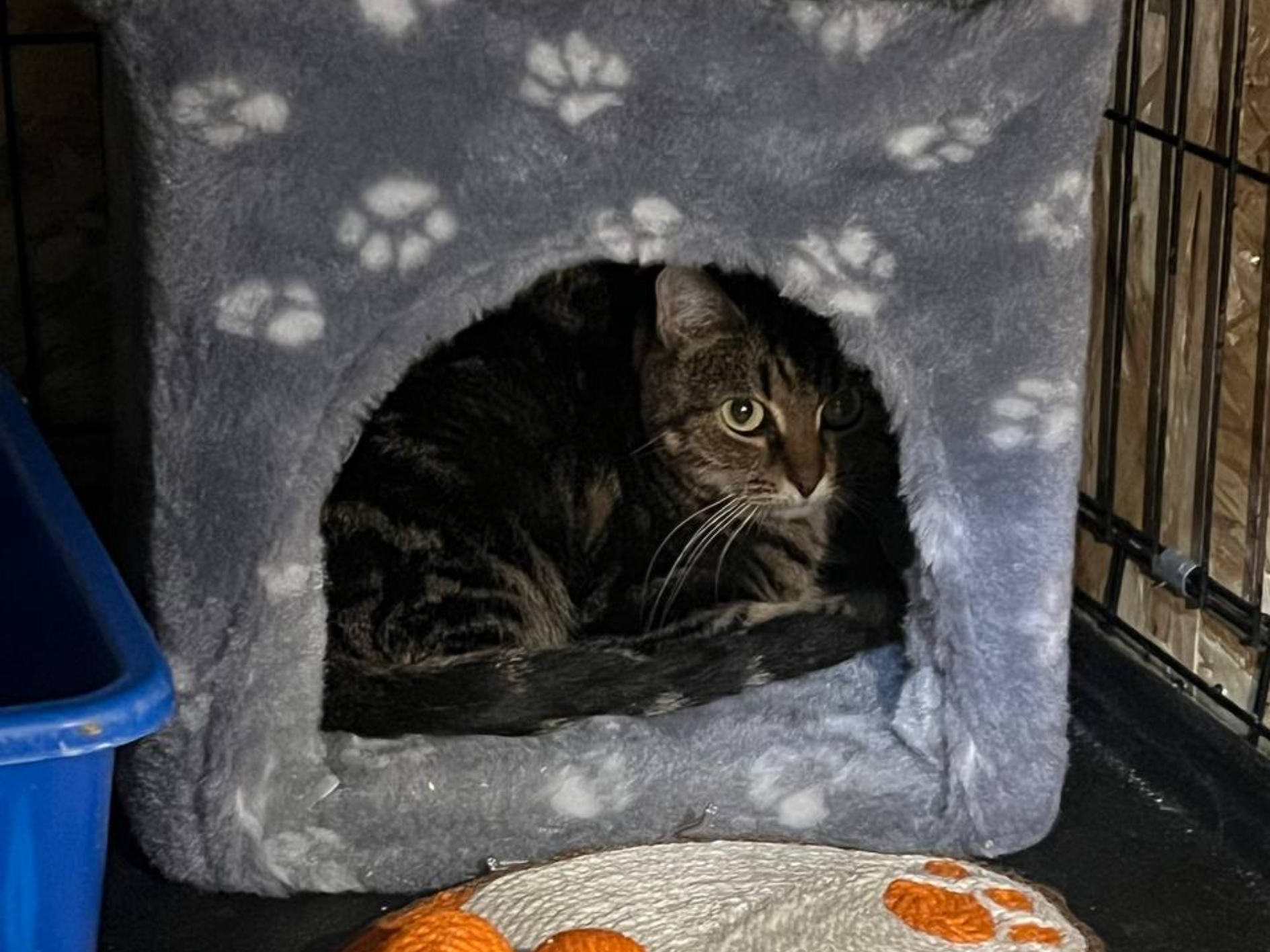 Фото: Анастасия Ф.