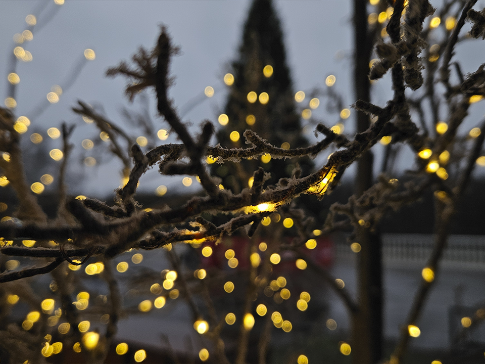 Фото: МедиаБанк Подмосковья/Вероника Горбачева