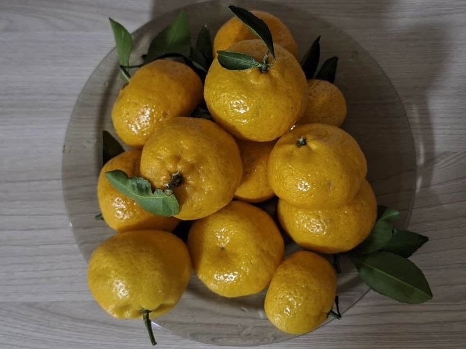 Фото: Юлия Габбасова