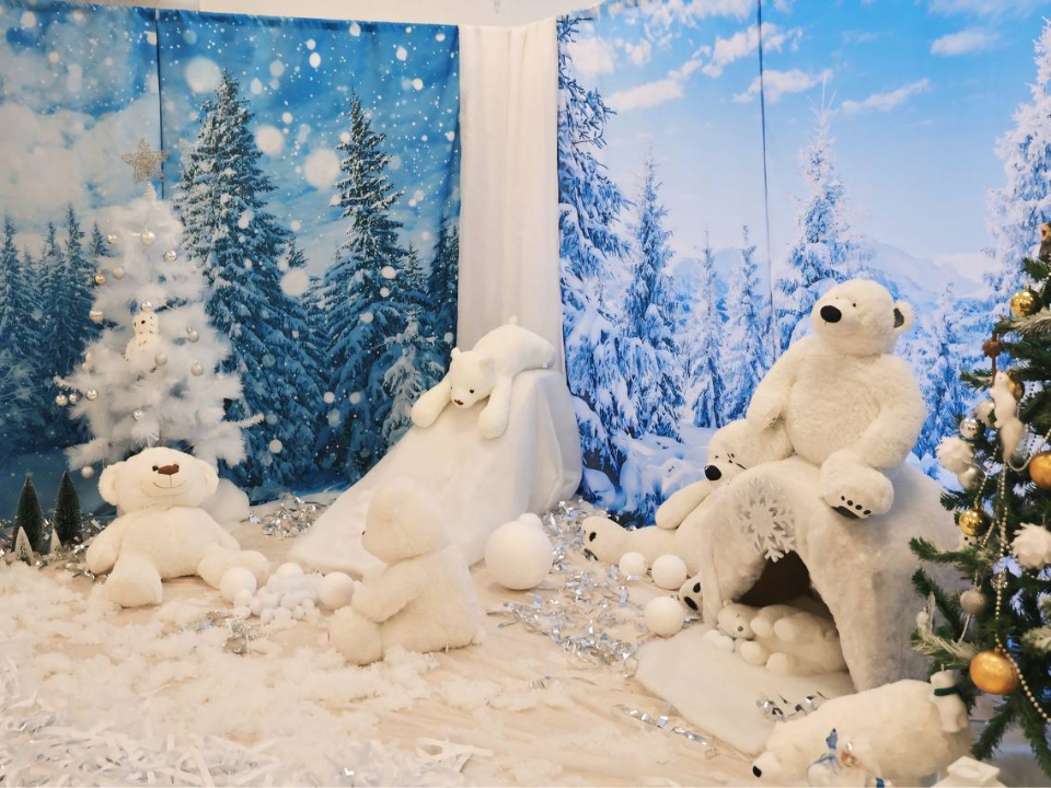 Фото: пресс-служба администрации Волоколамского м.о.