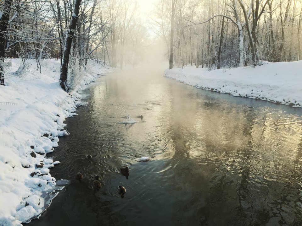 Фото: REGIONS/Владимир Ерастов