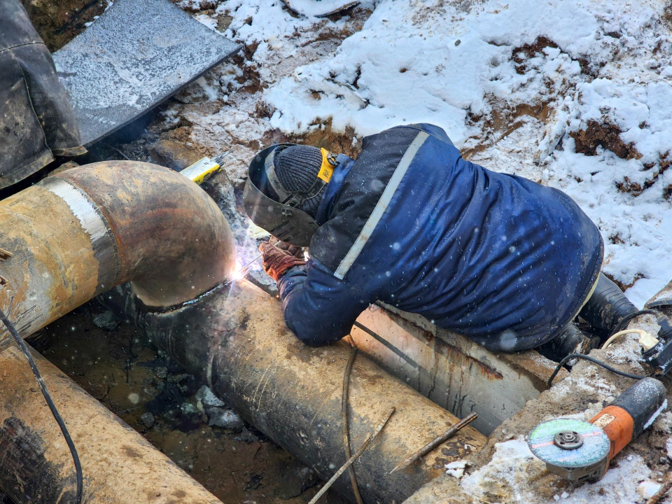 Фото: МедиаБанк Подмосковья/Мария Андрюхина