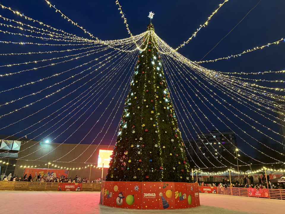 Фото: Полина Абраменко