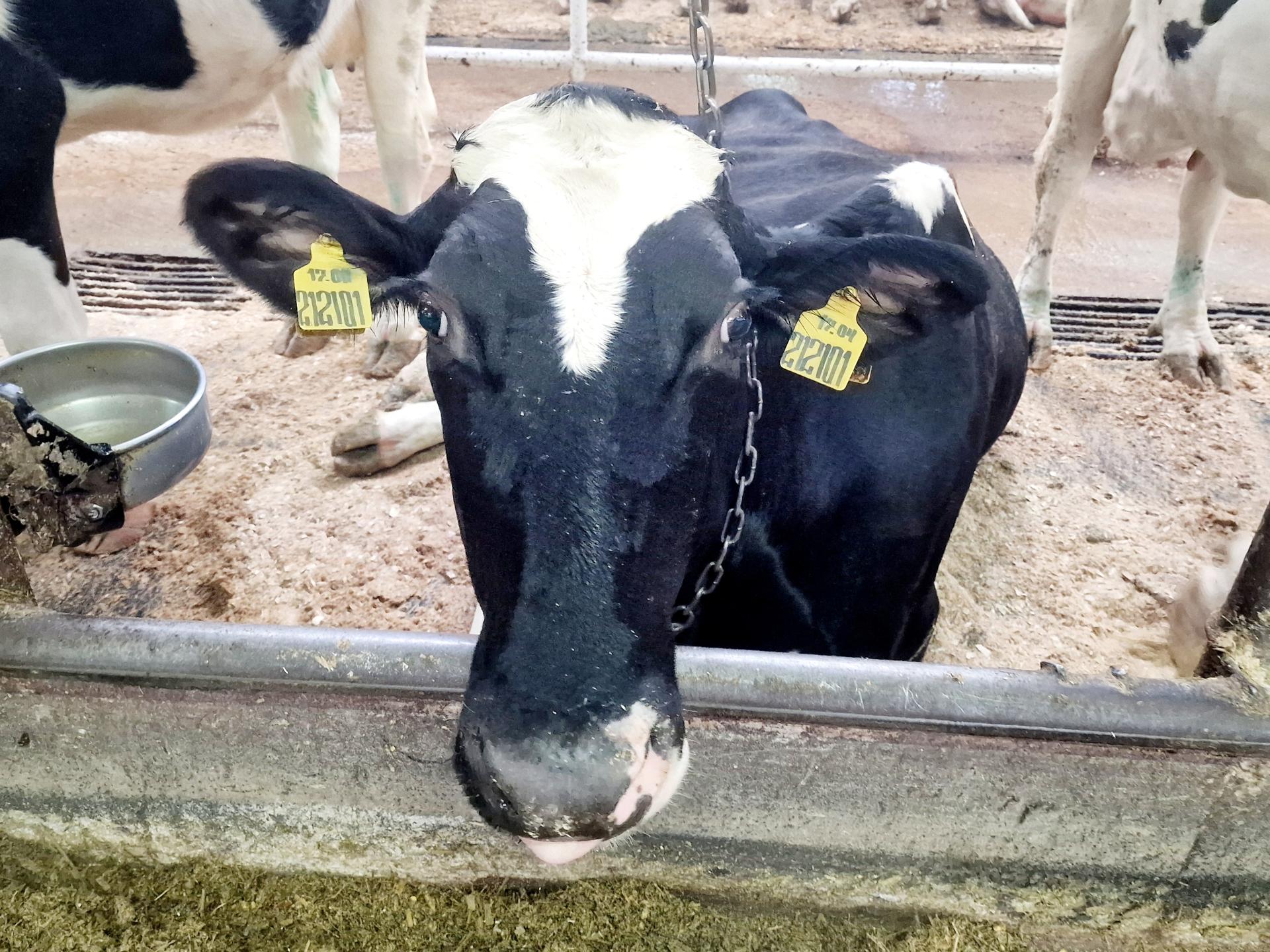 Фото: REGIONS/Ольга Шаронова