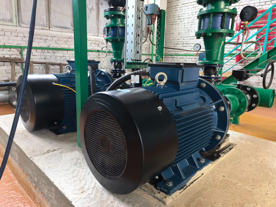 Фото: МедиаБанк Подмосковья/Ирина Матвеева