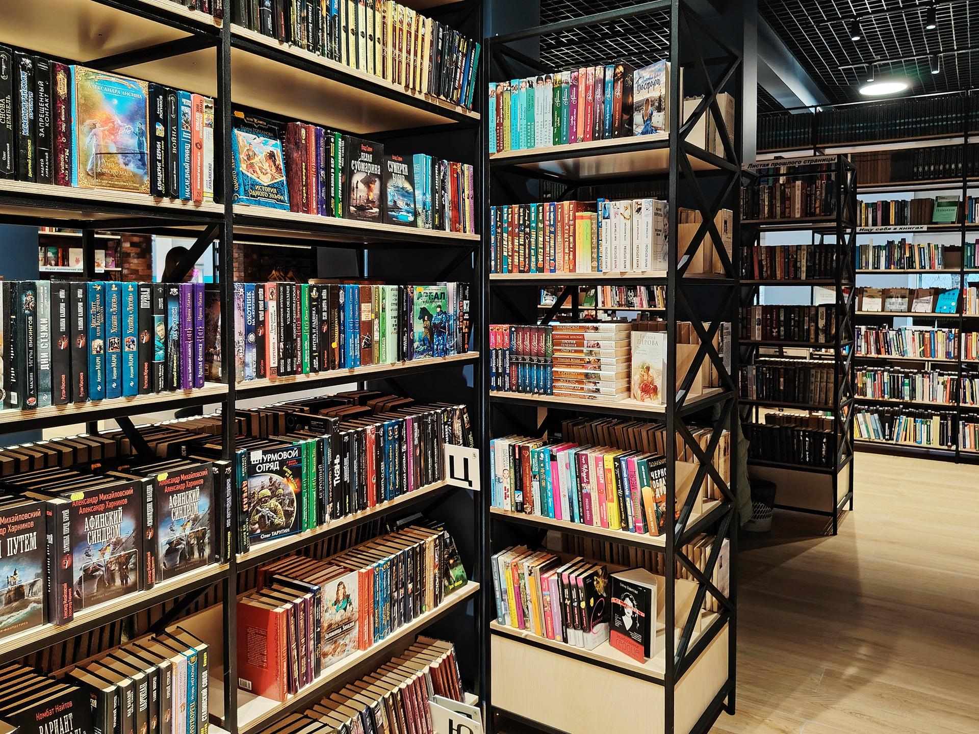 Фото: Раменский медиацентр