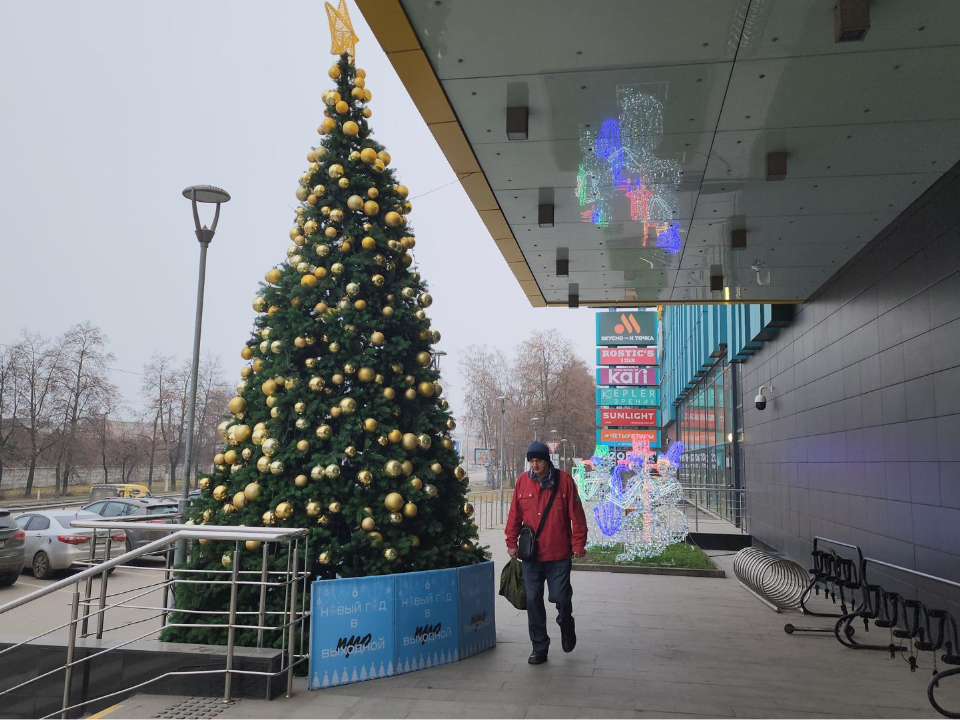 Фото: МедиаБанк Подмосковья/Наталья Лымарь