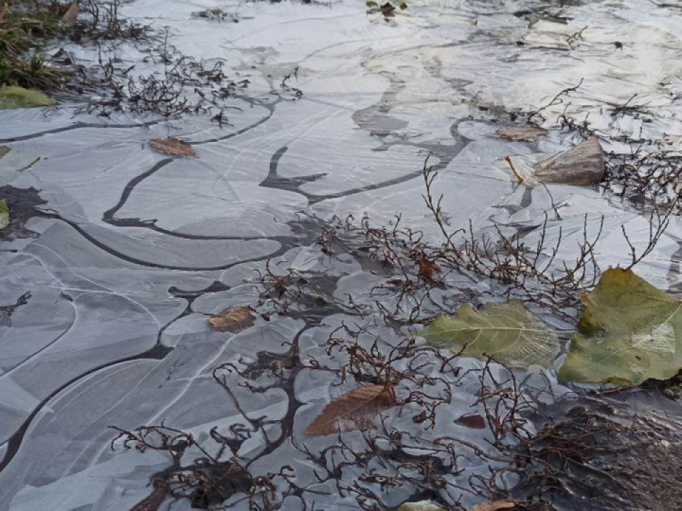 Фото: REGIONS/Эльвира Сафина