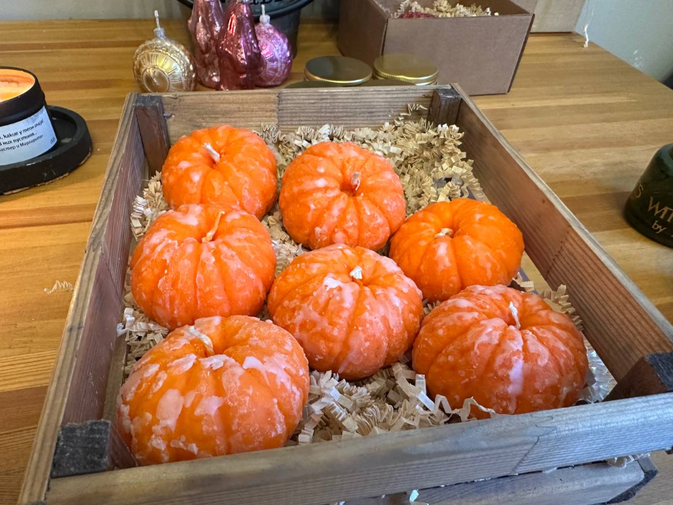 Фото: МедиаБанк Подмосковья/Эдуард Стратонов