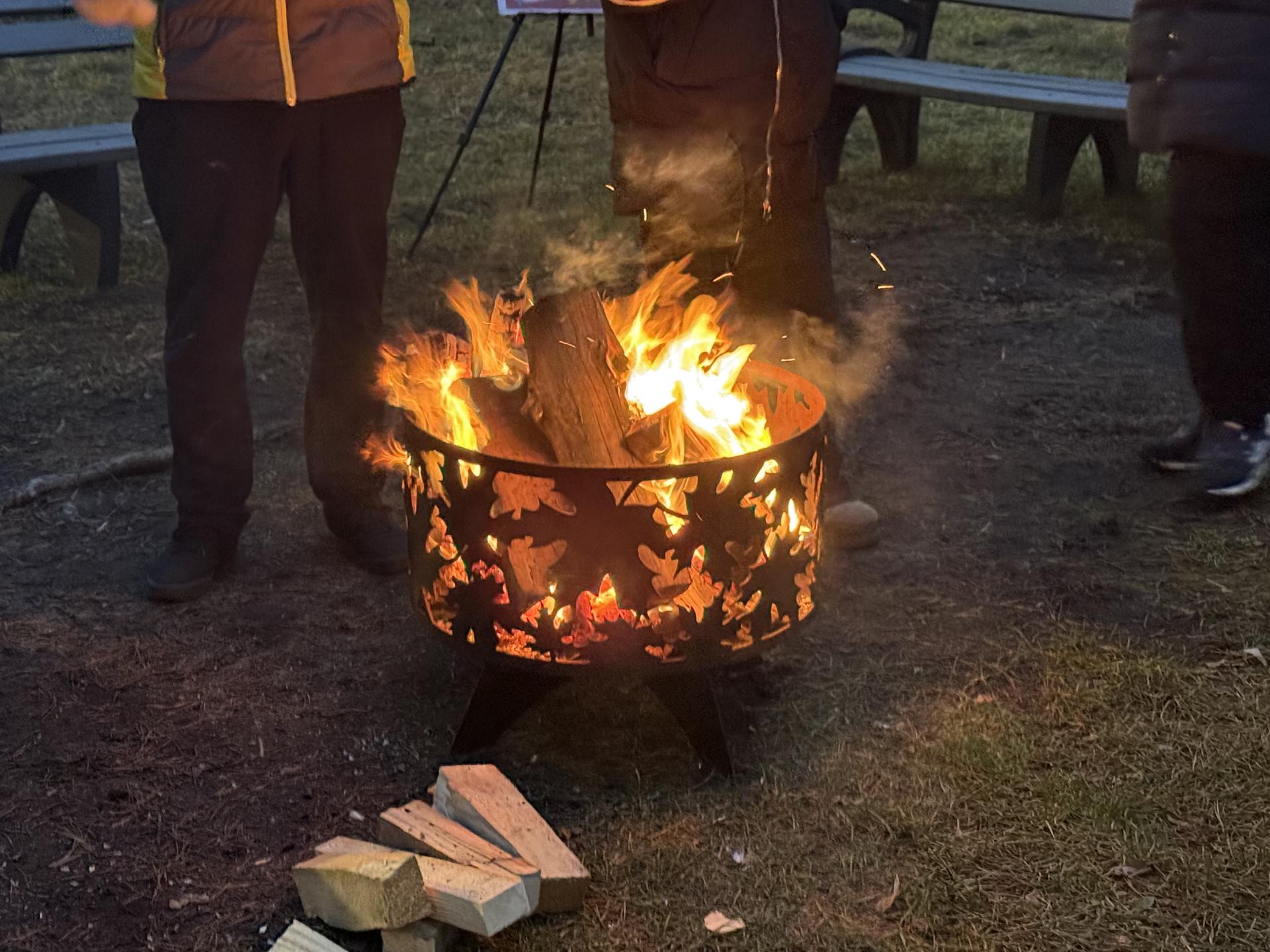 Фото: МедиаБанк Подмосковья/Анна Дука