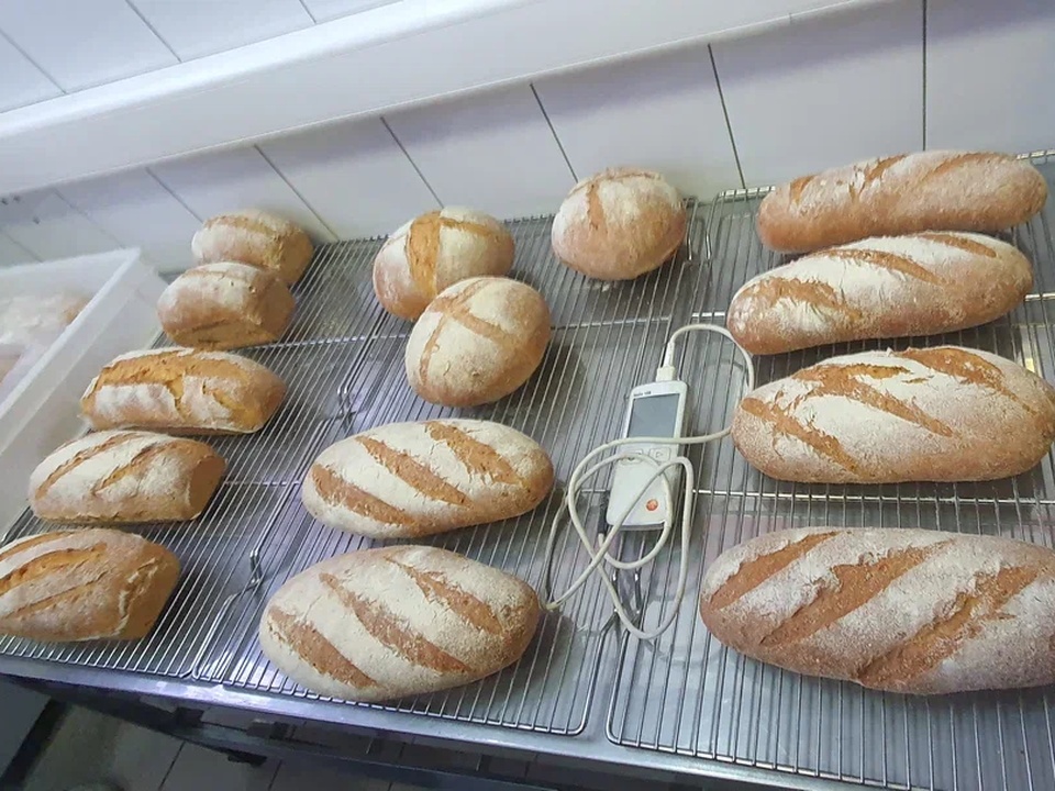 Фото: REGIONS/Наталия Надточая